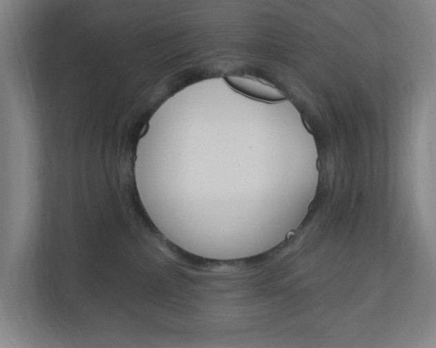 X0000111040236200906251144