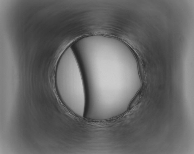 X0000111040241200906251143