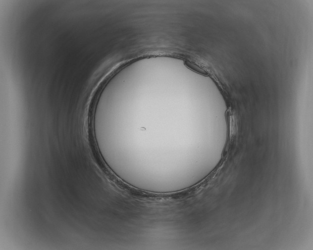 X0000111040243200906251143