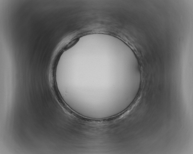 X0000111040245200906251143