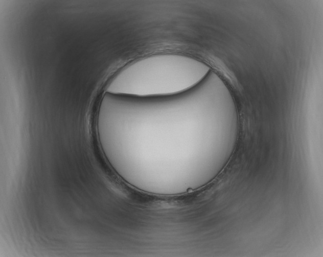 X0000111040250200906251143