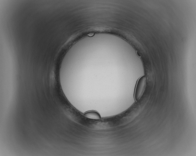 X0000111040256200906251143
