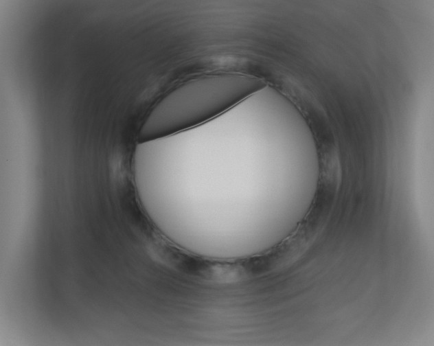 X0000111040272200906251144