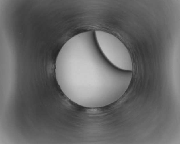 X0000111040281200906251144
