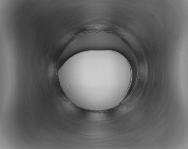 X0000111040284200906251144