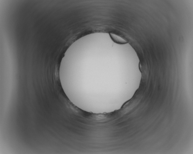 X0000111040287200906251144