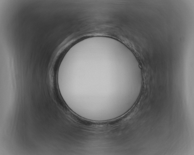 X0000111040295200906251143