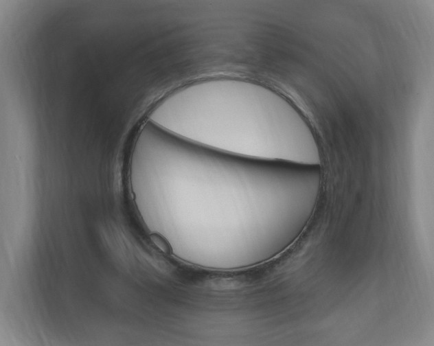 X0000111040299200906251143