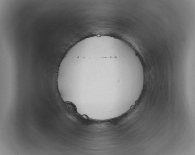 X0000111040307200906251143