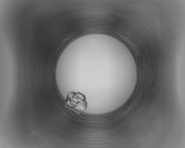 X0000111040308200906251143