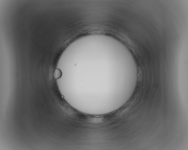 X0000111040318200906251143