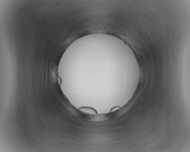 X0000111040334200906251143