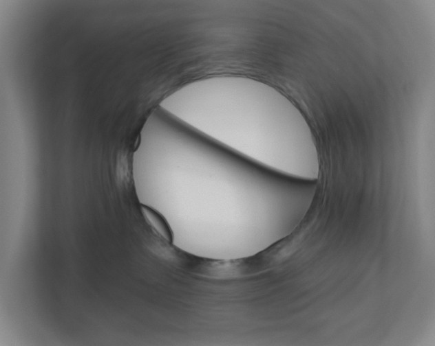 X0000111040335200906251143