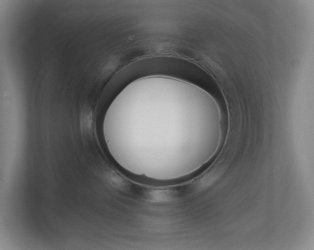 X0000111040336200906251143