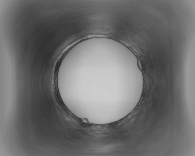 X0000111040338200906251142