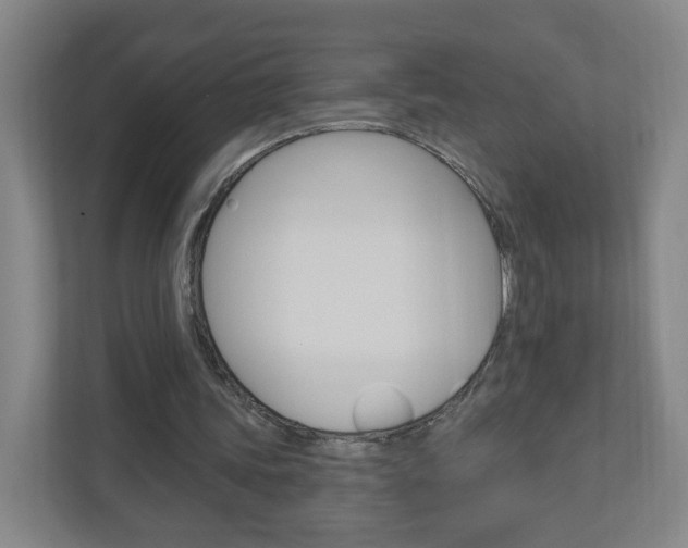 X0000111040339200906251142
