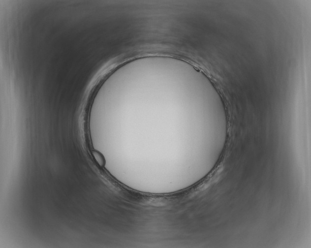 X0000111040341200906251142