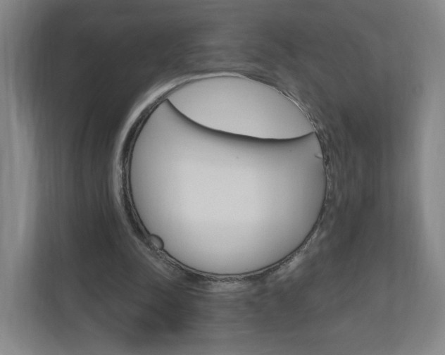 X0000111040342200906251142