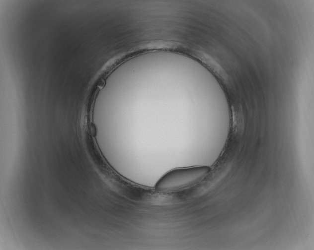X0000111040348200906251142