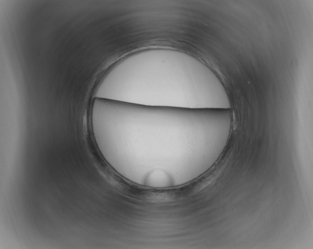 X0000111040349200906251142