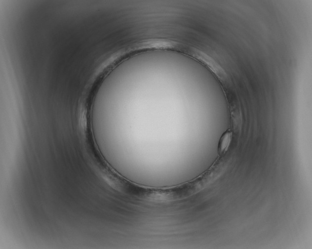 X0000111040350200906251142