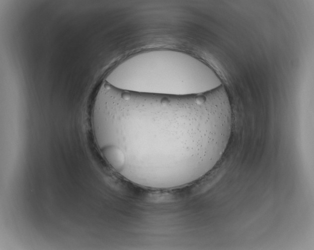 X0000111040354200906251142