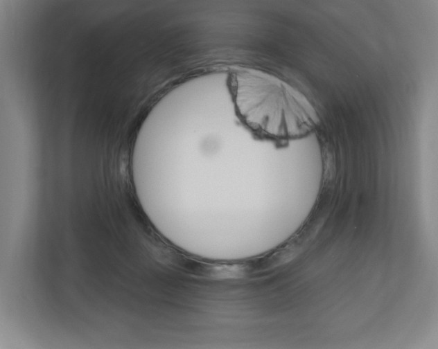 X0000111040363200906251142