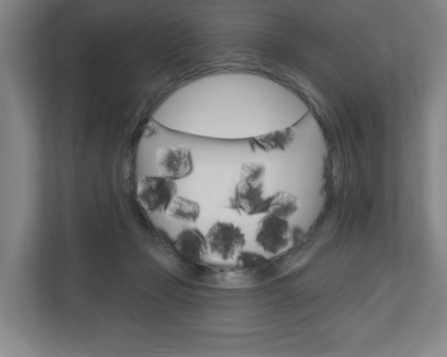 X0000111040365200906251142