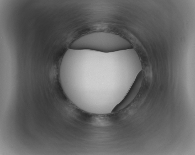 X0000111040372200906251142