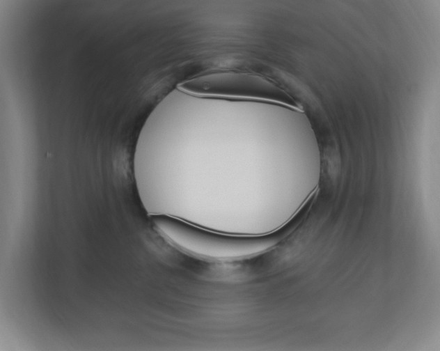 X0000111040380200906251142