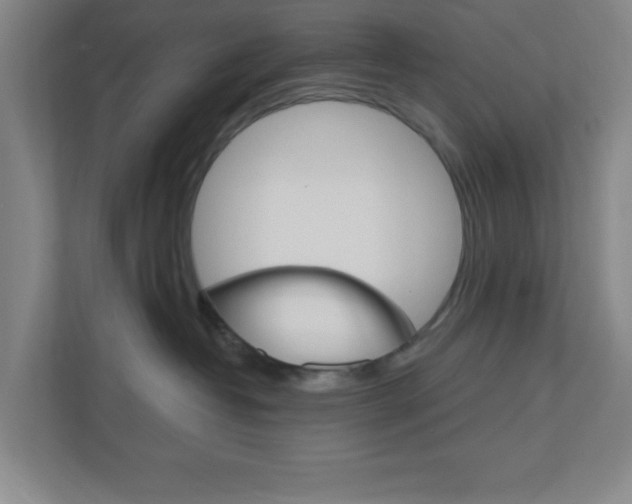 X0000111040382200906251143