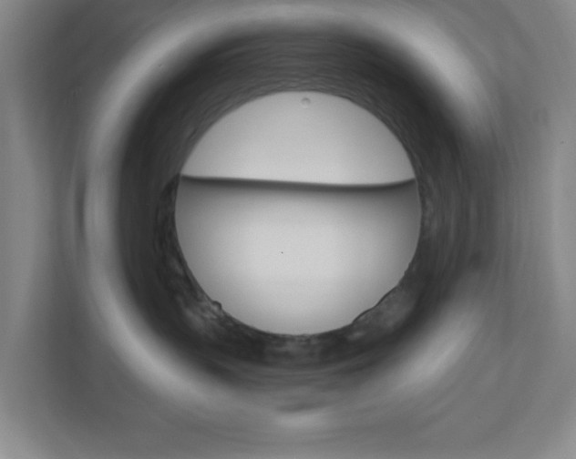 X0000111040383200906251143