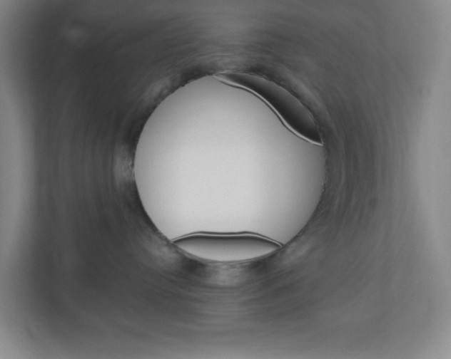 X0000111040384200906251143