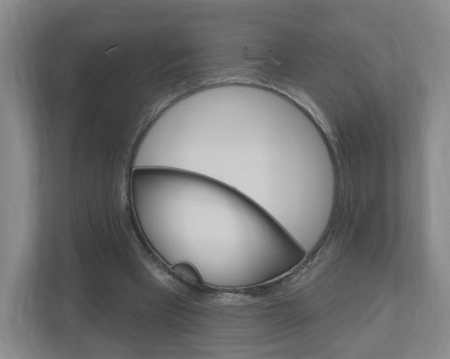 X0000111040393200906251142
