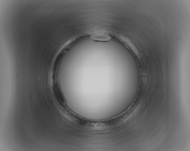X0000111040395200906251142