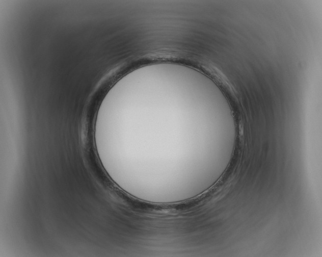 X0000111040396200906251142