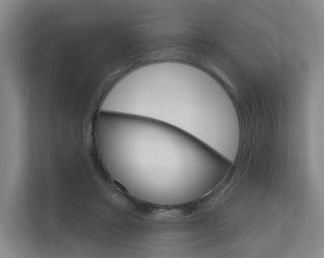 X0000111040403200906251142