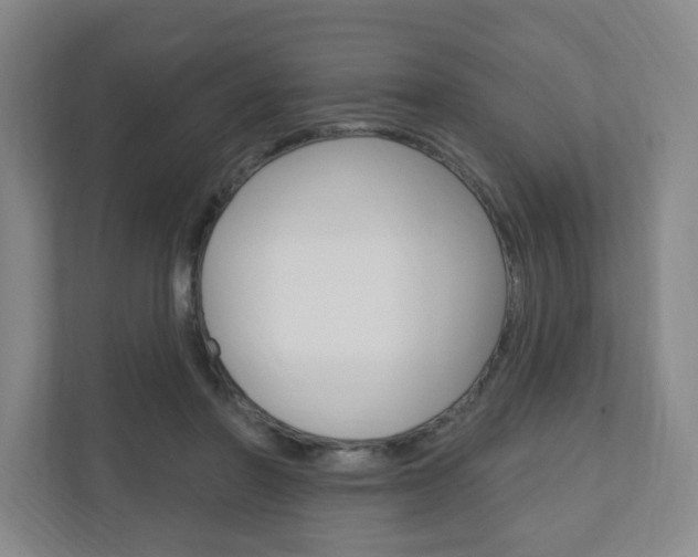 X0000111040406200906251142