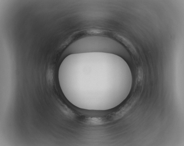 X0000111040409200906251142