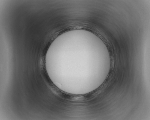 X0000111040410200906251142