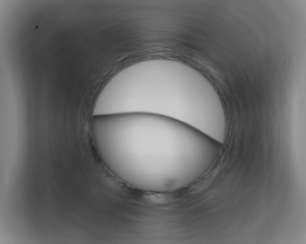 X0000111040417200906251141