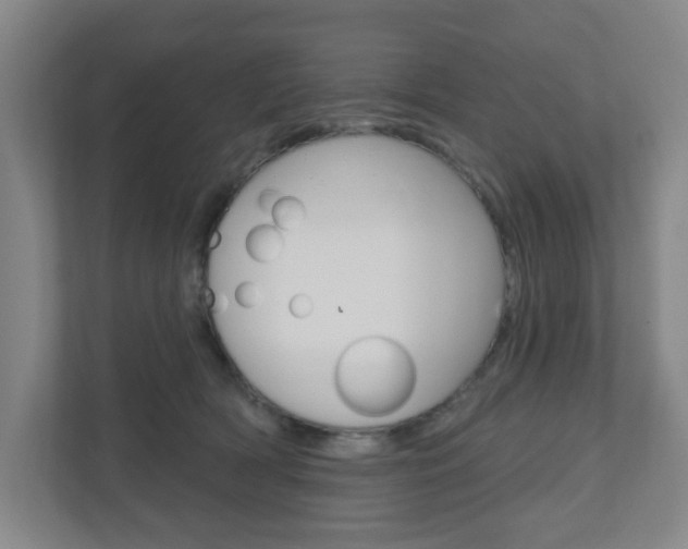 X0000111040418200906251141