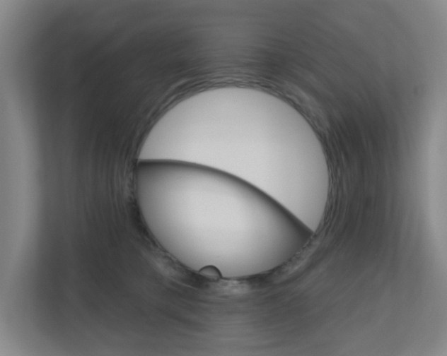 X0000111040421200906251141