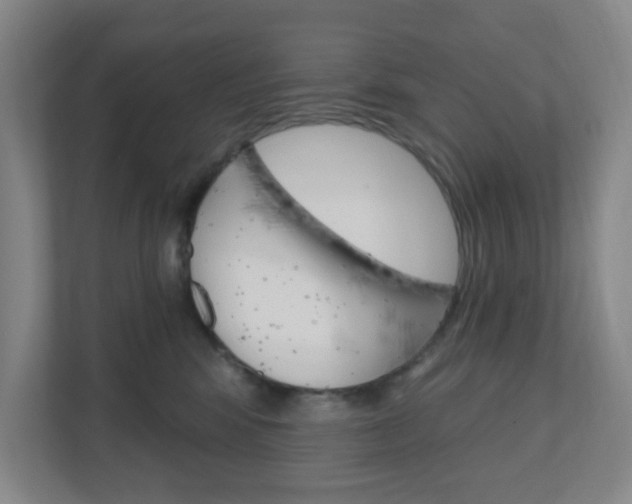 X0000111040424200906251141