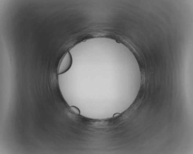 X0000111040426200906251141