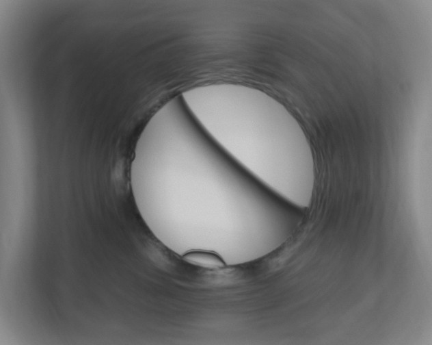 X0000111040428200906251141