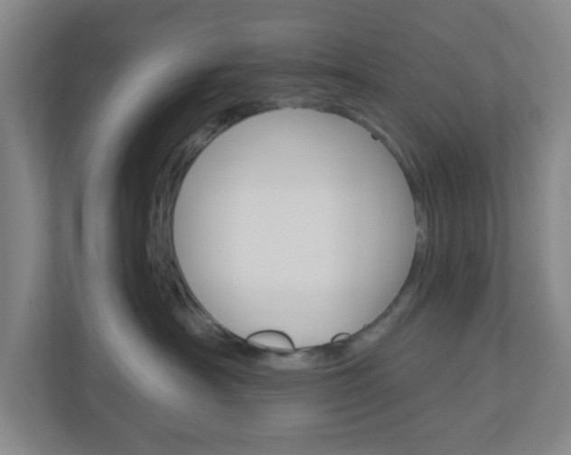 X0000111040430200906251141