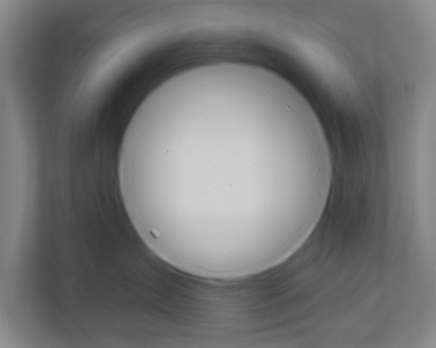 X0000111040431200906251141