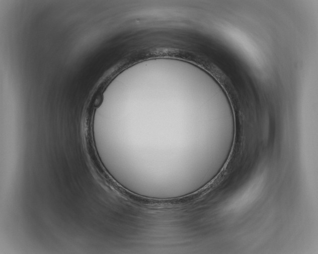 X0000111040435200906251141