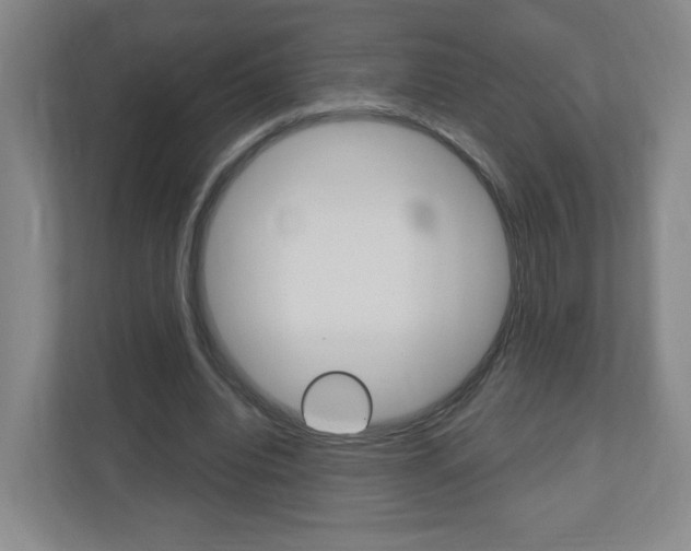 X0000111040440200906251141